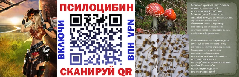 Псилоцибиновые грибы Psilocybe  ссылка на мегу маркетплейс  Печоры 