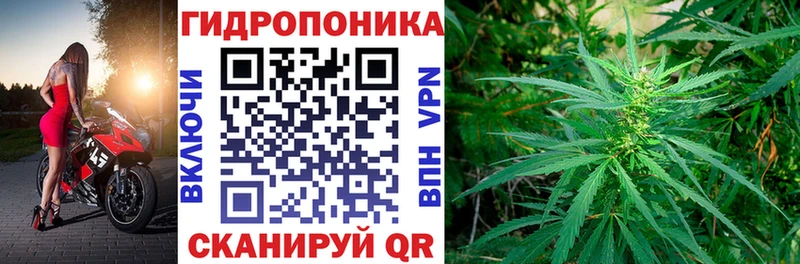 где купить   Печоры  Бошки марихуана SATIVA & INDICA 